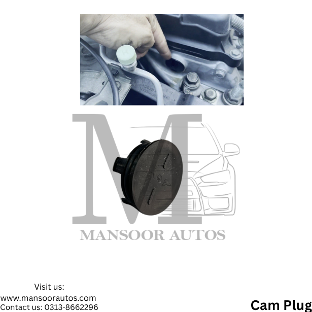 Cam Plug Honda Civic 2003-2021 - AAP