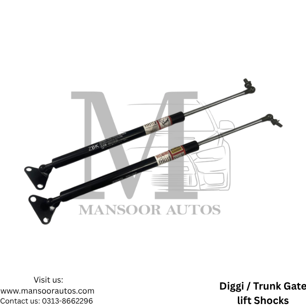 Diggi / Trunk Gate lift Shocks Toyota Land Cruiser 2008-18 - Imported
